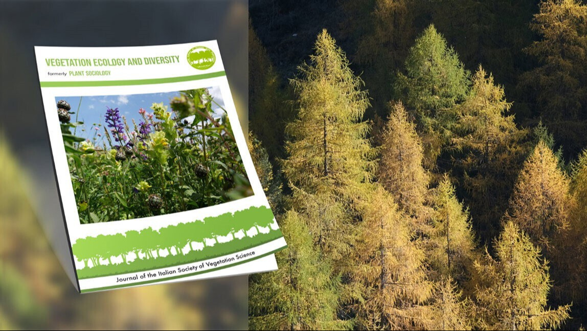 Vegetation Ecology and Diversity: more ...